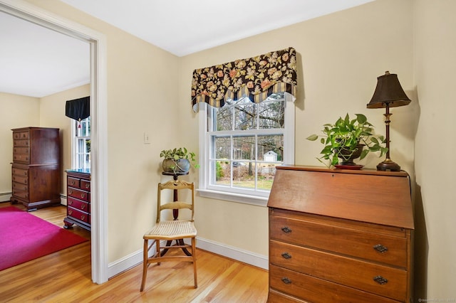 living area featuring light hardwood / wood-style flooring