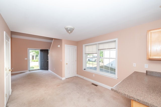 interior space featuring light carpet and a healthy amount of sunlight