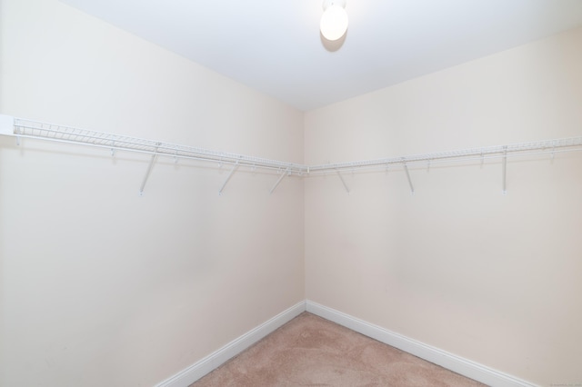 spacious closet featuring light colored carpet