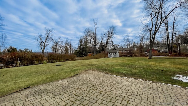 view of yard with a storage shed