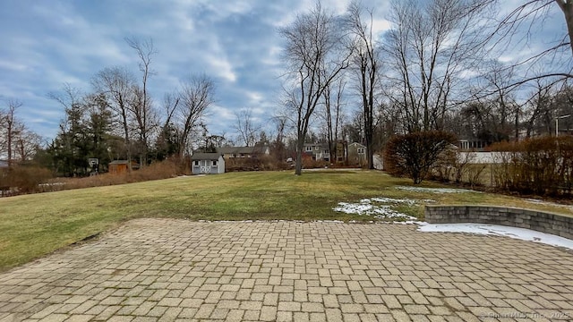 view of yard with a patio and a storage unit