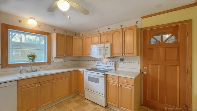 kitchen with ceiling fan, decorative backsplash, sink, white appliances, and light brown cabinetry