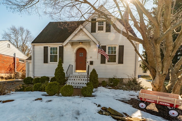 view of front of house featuring roof with shingles