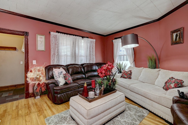 living room featuring a textured ceiling, hardwood / wood-style flooring, and ornamental molding