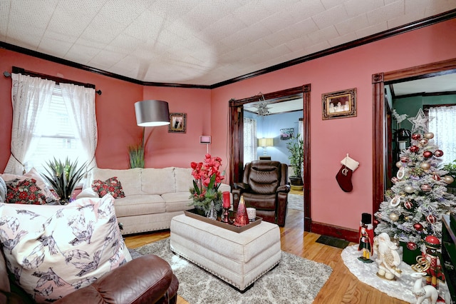 living room with light hardwood / wood-style floors and ornamental molding