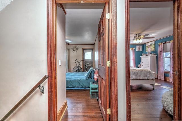 hall featuring crown molding and dark wood-type flooring