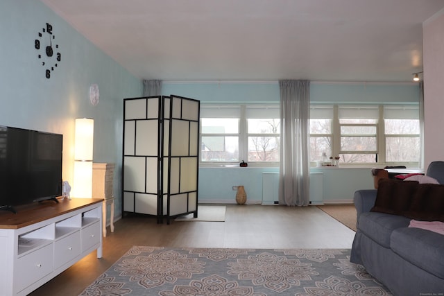 living room with dark hardwood / wood-style flooring and radiator heating unit