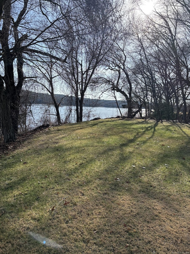 view of yard with a water view