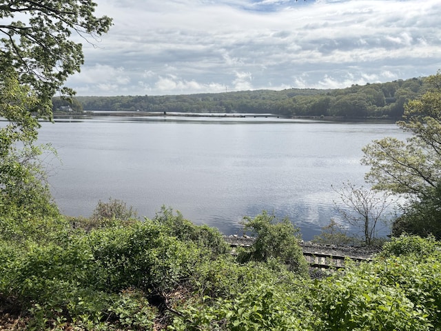 145 Massapeag Side Rd, Montville, CT 06382 - water view with a forest