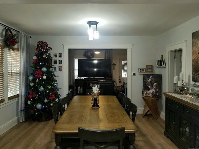 dining area featuring wood-type flooring