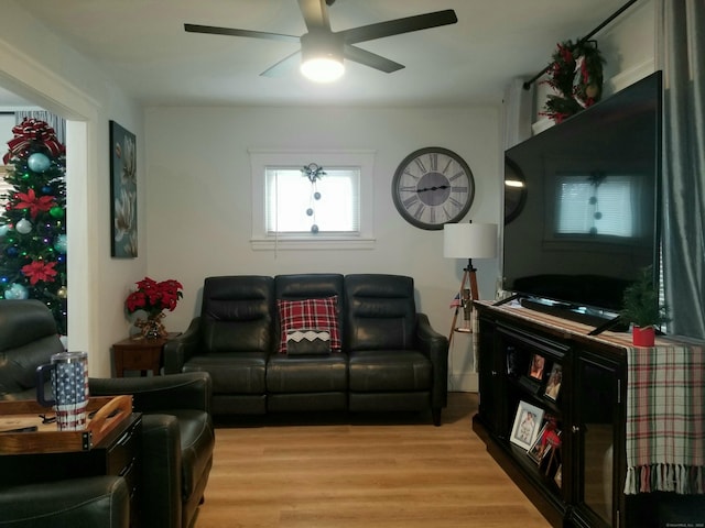 living room featuring ceiling fan and light hardwood / wood-style flooring