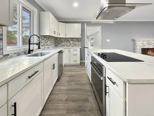 kitchen with a stone fireplace, sink, exhaust hood, appliances with stainless steel finishes, and white cabinets