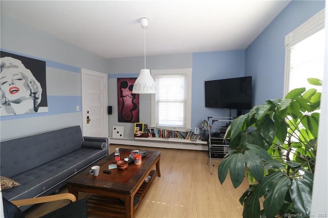 living room featuring light wood-type flooring