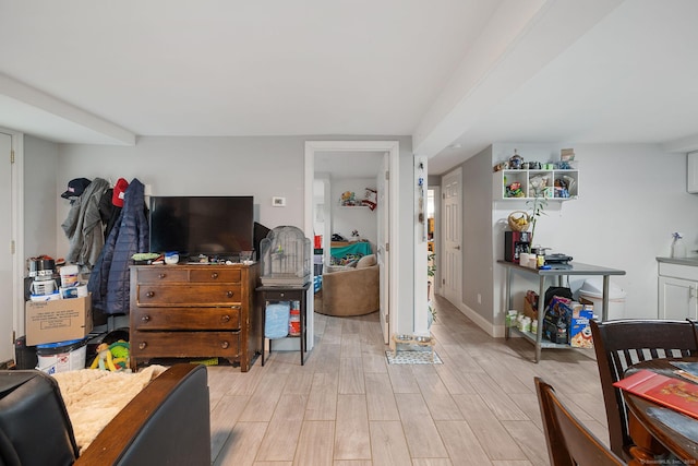 living room featuring light hardwood / wood-style floors