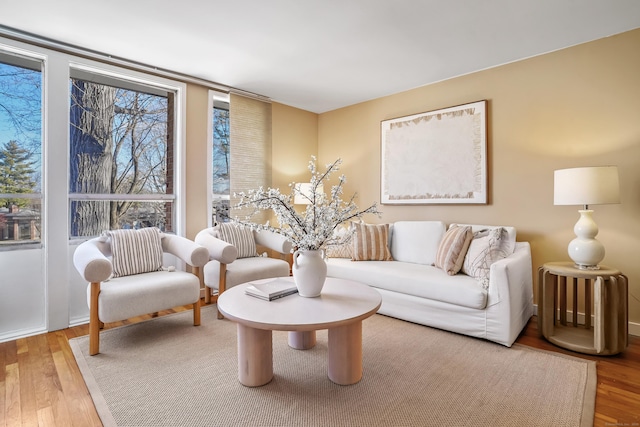 living room featuring hardwood / wood-style flooring