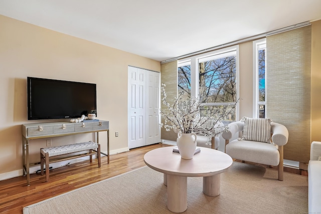 living room featuring light wood-type flooring