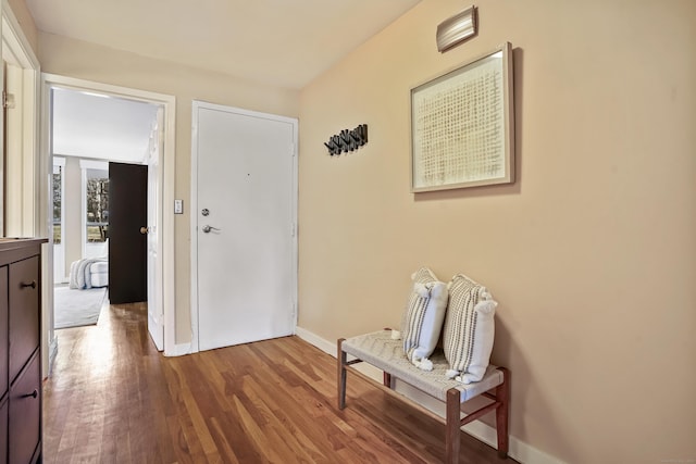 hallway featuring hardwood / wood-style flooring