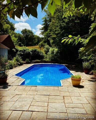 view of pool with a patio area