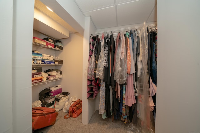 spacious closet with carpet