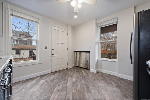 foyer with hardwood / wood-style flooring and ceiling fan