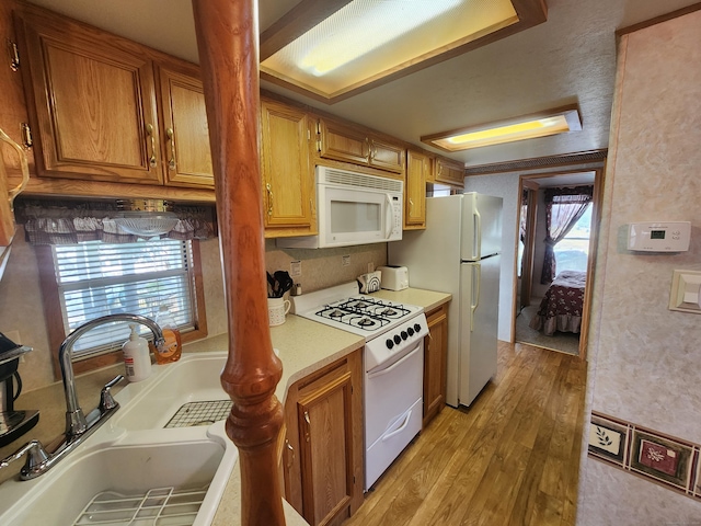 kitchen with light wood-type flooring, white appliances, a healthy amount of sunlight, and sink