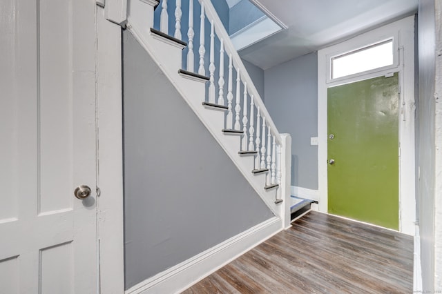 entrance foyer featuring wood-type flooring