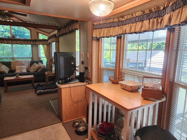 interior space with carpet and ceiling fan