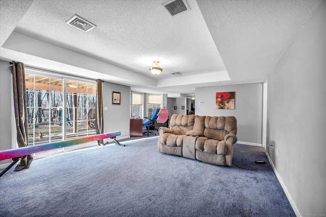 living room with carpet flooring, a textured ceiling, and a raised ceiling