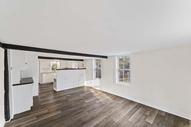 unfurnished living room with dark hardwood / wood-style floors and a healthy amount of sunlight