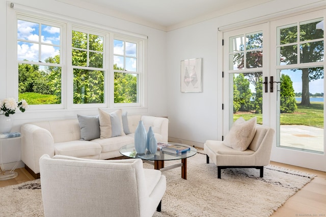 sunroom with french doors