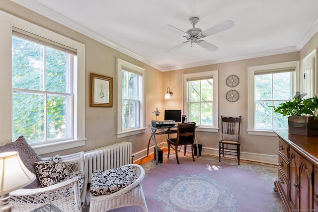 office area featuring crown molding, ceiling fan, and a healthy amount of sunlight