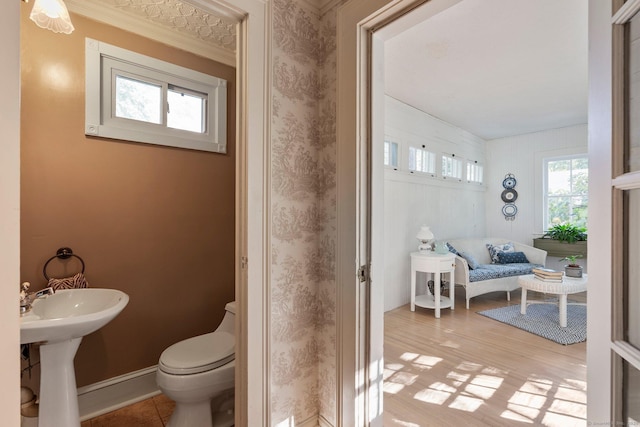 bathroom with wood-type flooring, toilet, and sink