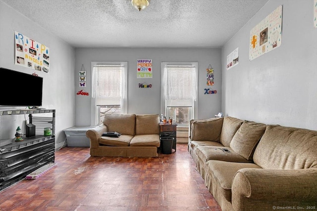 living room featuring a textured ceiling