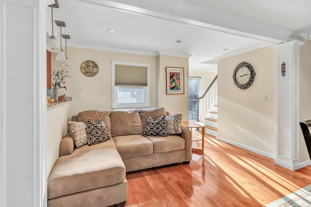 living room featuring wood-type flooring and crown molding