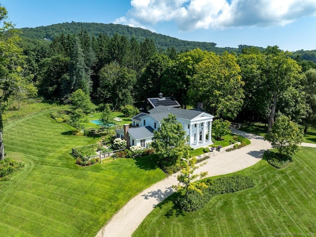 bird's eye view with a view of trees