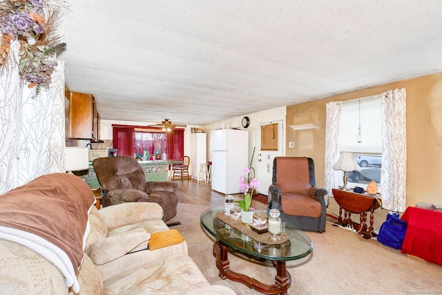 living area featuring a textured ceiling and ceiling fan