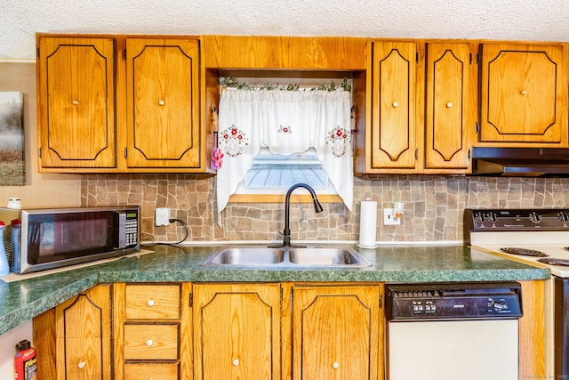 kitchen featuring electric stove, a sink, stainless steel microwave, under cabinet range hood, and dishwasher