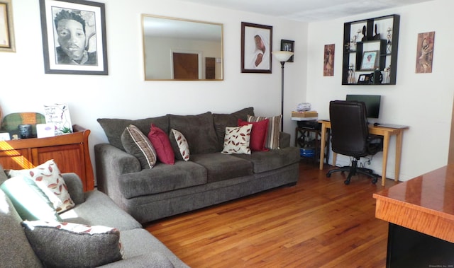 living room with hardwood / wood-style floors