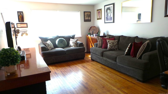 living room with light hardwood / wood-style floors