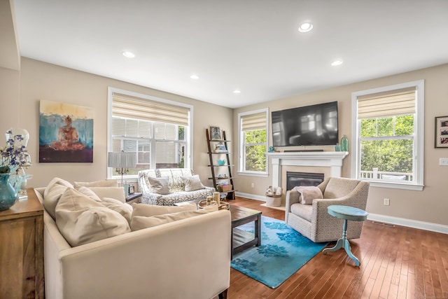 living room with a wealth of natural light and wood-type flooring