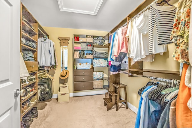 walk in closet with light colored carpet