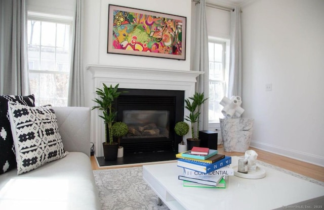 living room featuring hardwood / wood-style floors and a healthy amount of sunlight