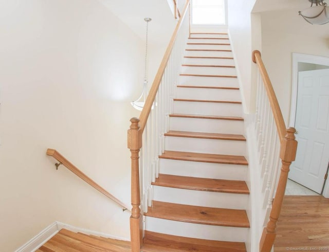 staircase with hardwood / wood-style floors