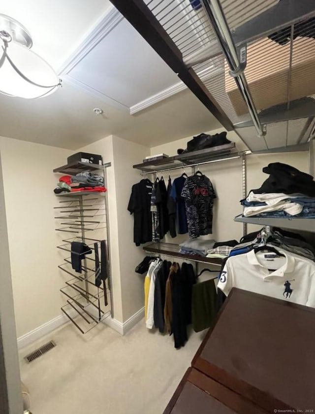 view of spacious closet