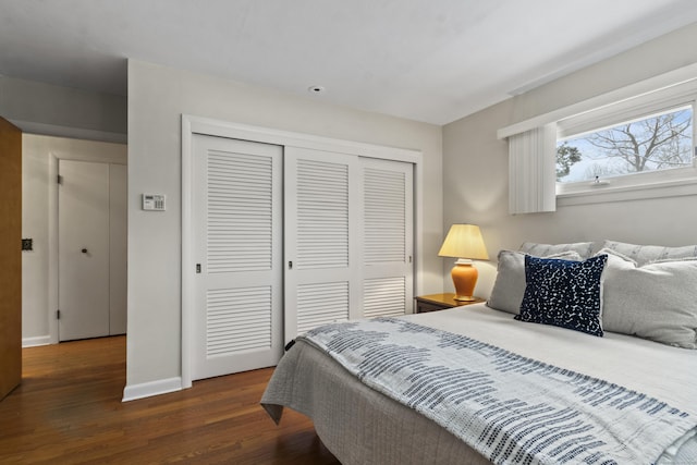 bedroom featuring dark hardwood / wood-style floors and a closet