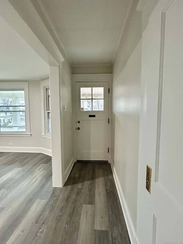 doorway featuring hardwood / wood-style flooring