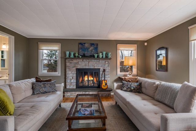 living room featuring a fireplace, dark hardwood / wood-style flooring, and crown molding