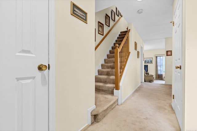 stairs featuring carpet floors