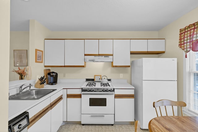 kitchen featuring white appliances, white cabinetry, a healthy amount of sunlight, and sink