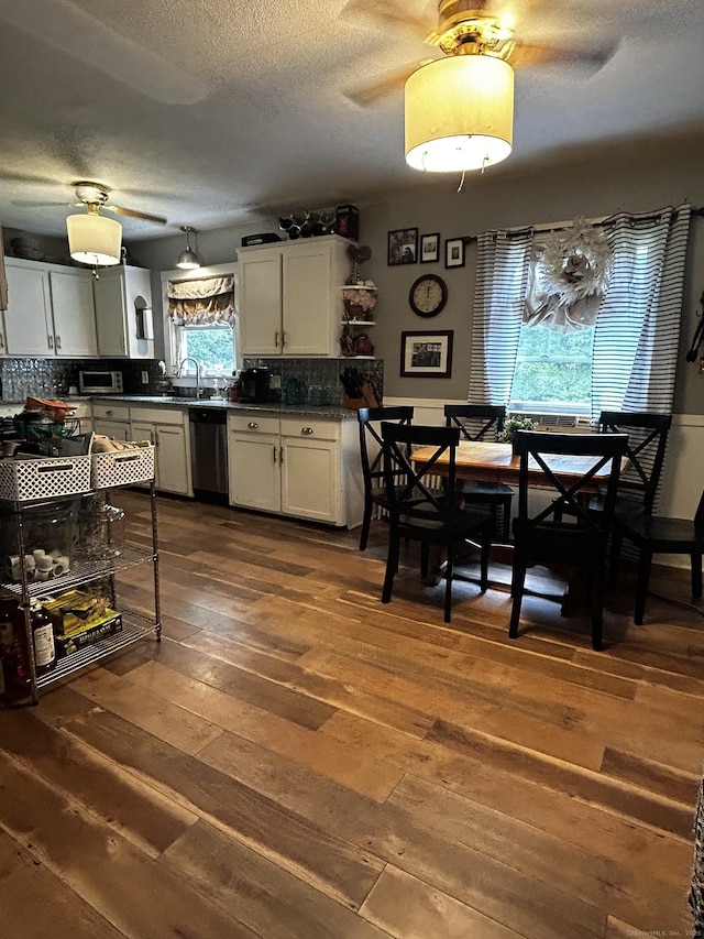 kitchen with stainless steel dishwasher, a healthy amount of sunlight, white cabinetry, and tasteful backsplash